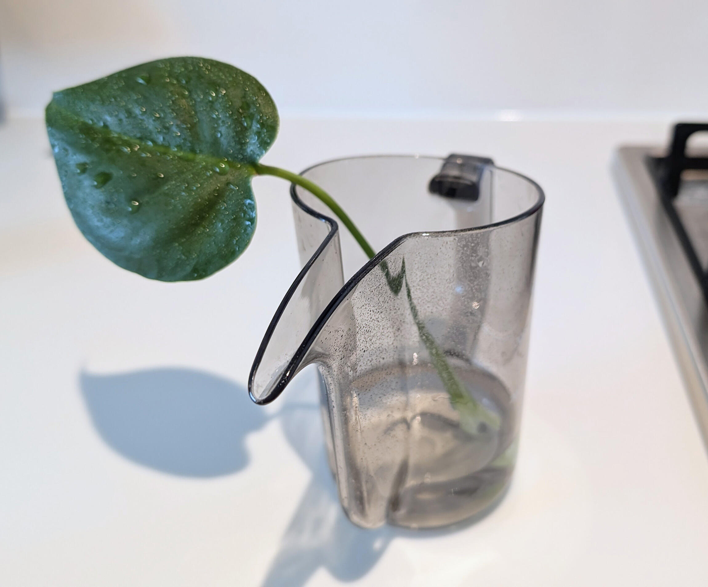 編集部の愛用品