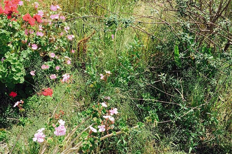 大森さんの写真