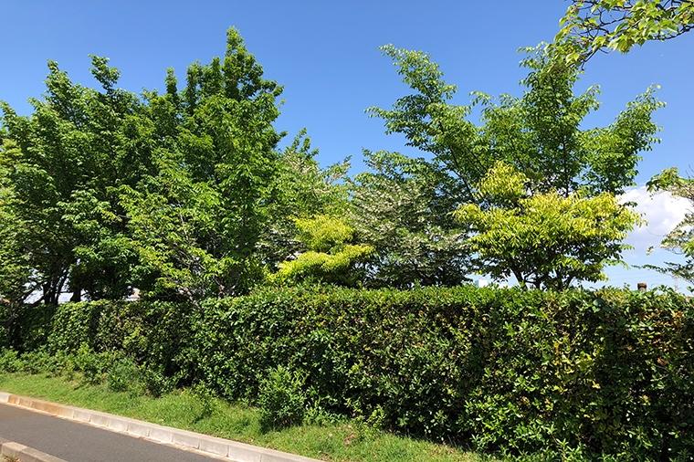 大森さんの写真