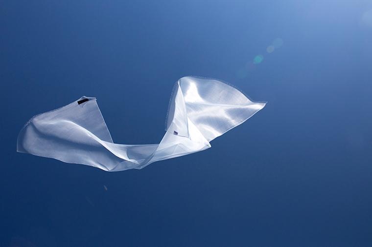 大森さんの写真