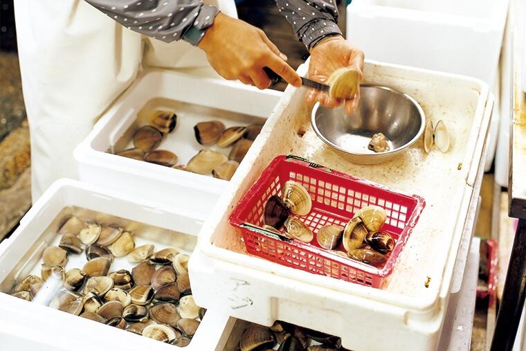 謎が深まる東京湾のハマグリ|市場旬ばなし④