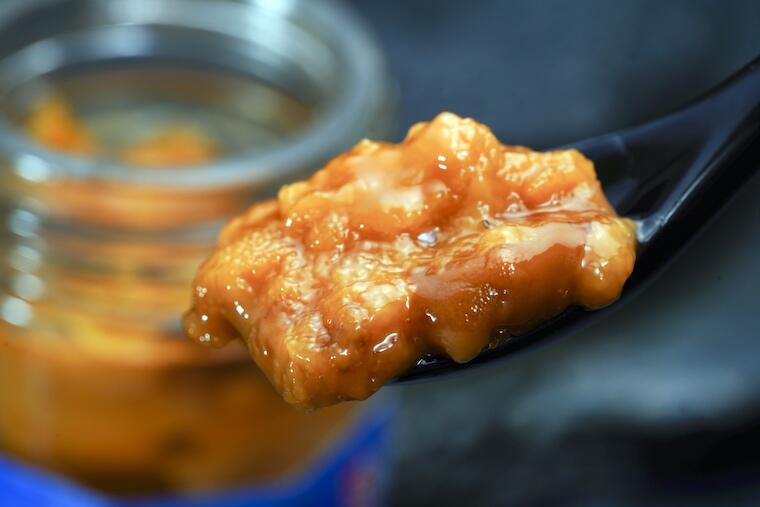 天草の赤うに