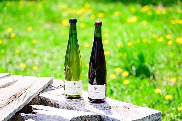 北海道・空知で15品種の葡萄から一本のワインを造る｜「ナカザワヴィン 