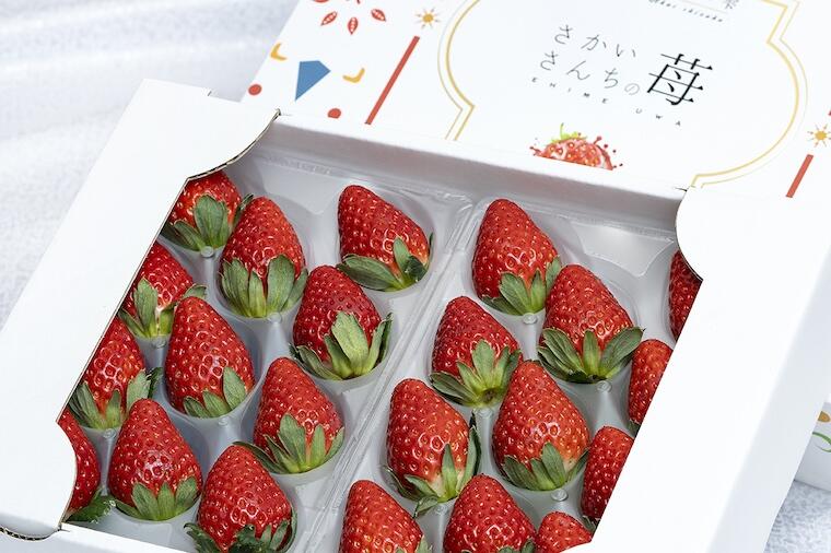 愛媛県オリジナルいちご「紅い雫(あかいしずく)」