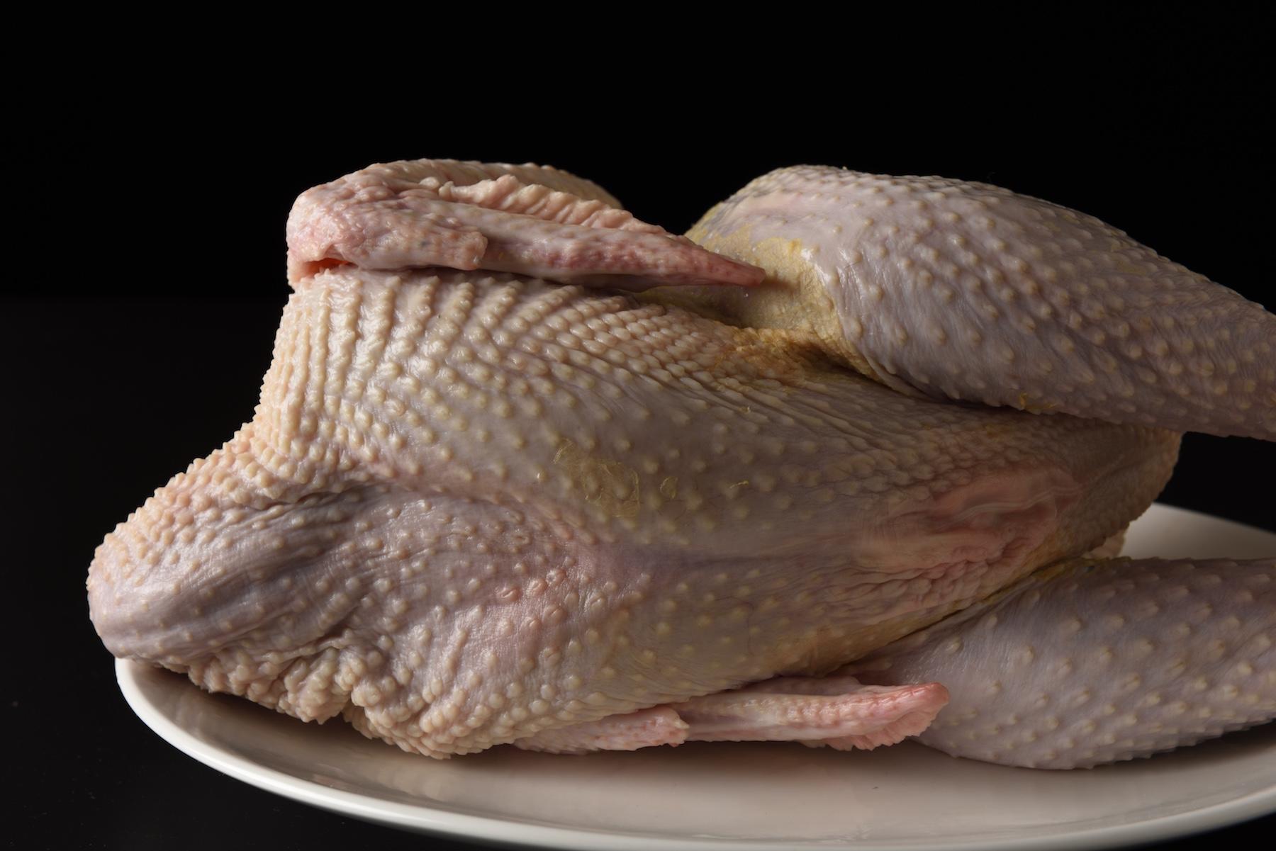 「東京しゃも」の丸鶏。ブロイラーに比べてひと回り大きく、引き締まっていて手羽が大きいのが特徴。「東京しゃも」は120日～150日かけて肥育して出荷されている。ブロイラーは50日～55日。